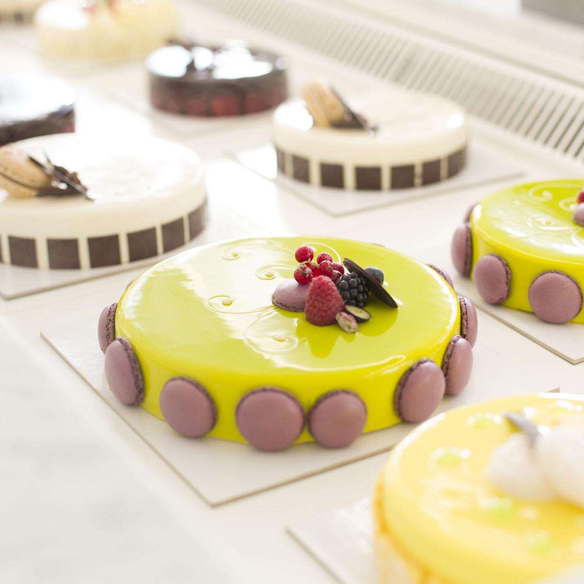 cantolacqua-torte-6